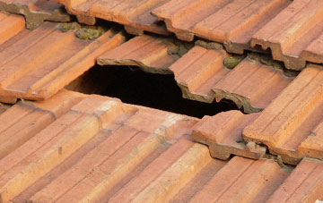 roof repair Castleton